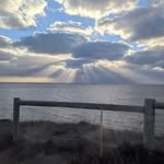 Allison June Mansfield-Steer - @alyoo1957_ - Instagram
