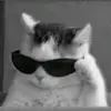 JUN JUN - @junemanuel.69_ - TikTok