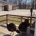 June McClellan - Facebook