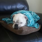 June McCracken - @mccracken.june - Instagram