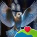 June Mcgehee - Facebook