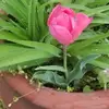 June McGhee - @june.mcghee41 - TikTok