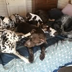June McLeod - Facebook