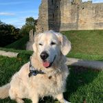 June Mcleod - @junemcleod - Instagram
