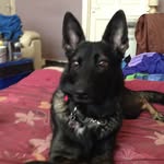 June Mcmaster - @junemcmaster - Instagram