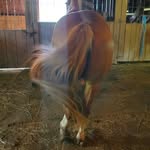 June McPherson - @junemcpherson423 - Instagram