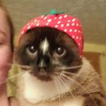 Juniper "June Bug" McPherson - @rotisseriejunebug - Instagram