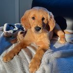 June White-Meade - @junemeade - Instagram