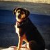 June Mellinger - Facebook
