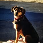 June Mellinger - @junemellinger - Instagram