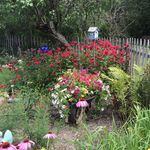 June Meyer - @junemeyer9474 - Instagram