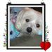June Mobley - Facebook
