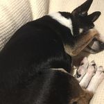 June Morton - @june.morton.566 - Instagram