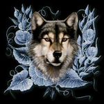 June Morton - @june.morton.562 - Instagram