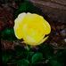 June Murdock - Facebook