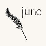 june - @june.nashville - Instagram