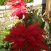 June Richardson-Nash - Facebook