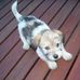 June Nixon - Facebook