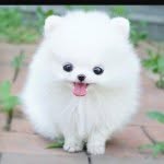 June Olson - @loves_unicorns44 - Instagram