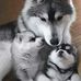 June Olson - Facebook