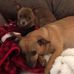 June Padgett - Facebook