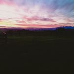 June Shadrock - @june_paki - Instagram