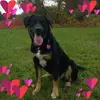 June Parsons865 - @juneparsons1952 - TikTok