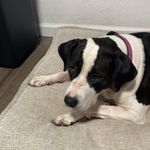 June Parsons - @juneparsons28 - Instagram