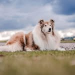 June Paterson - @junepaterson500 - Instagram