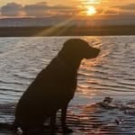 June Paterson - @junepaterson1967 - Instagram