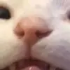 june_paulson - @june_paulson - TikTok