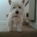 June Pickering - Facebook