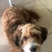June Preston - Facebook