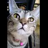 Quinnie - @quinniejune - TikTok