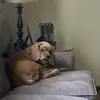 Richard June - @richard.june - TikTok