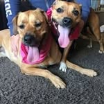 June Robertson - @june.robertson.169 - Instagram