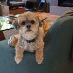 June Robertson - @junerobertson3534 - Instagram