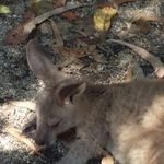 june roche - @juneroche643 - Instagram