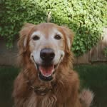 Rooney - @rooneyjune - Instagram