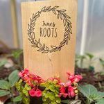 June’s Roots - @junes.roots - Instagram