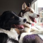 June And Ryder - @ryderandjune - Instagram