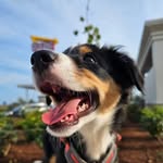 Ryder June - @theadventuresofryderjune - Instagram
