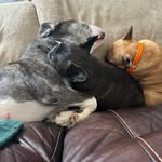 June Sackette - @junebugsackette - Instagram