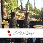 June Sadler - @june.sadler.50 - Instagram