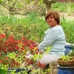 June Robertson Schafer - @junerobertsonschafer - Instagram