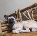 June Schilling - Facebook