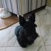 June Shaffer - Facebook