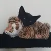 juneshannon319 - @juneshannon319 - TikTok