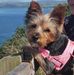 June Sharkey - Facebook