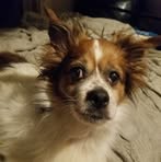 Junebug Sheffield - Facebook